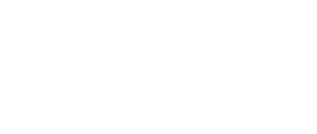 Картинка маскота проекта STAKE